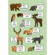 Перші слова — Дикі тварини. Wild Animals Перші слова — Дикі тварини. Wild Animals
