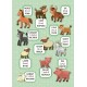 Перші слова — Свійські тварини. Domestic Animals Перші слова — Свійські тварини. Domestic Animals